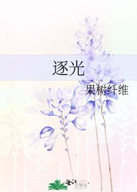 《逐光》