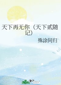 《天下再無你(天下貳隨記)》