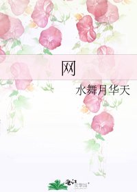 《網》