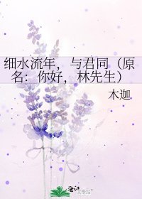 《細水流年,與君同(原名:你好,林先生)》