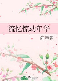 《流憶驚動年華》