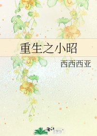 重生之小昭