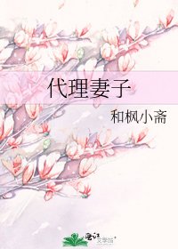 《代理妻子》