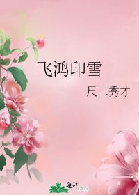 《飛鴻印雪》