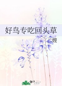 好鳥專吃回頭草
