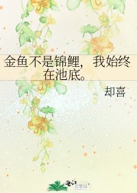 金魚不是錦鯉，我始終在池底。