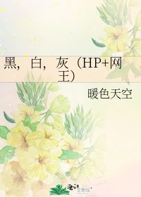 《黑,白,灰(HP+網王)》