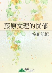 《藤原文理的憂鬱》