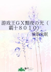 《遊戲王GX黯夜の光(霸十8010)》