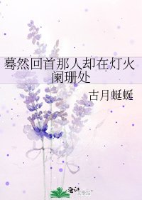 《驀然回首那人卻在燈火闌珊處》