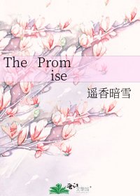 《The Promise》