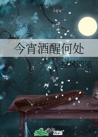 《今宵酒醒何處》