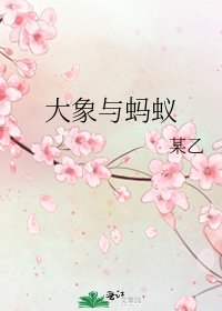 《大象與螞蟻》