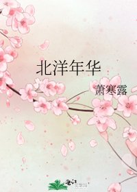 《北洋年華》