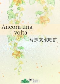 《Ancora una volta》