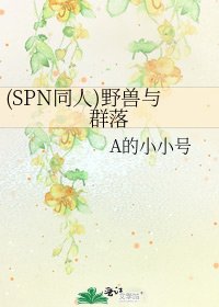 《(SPN同人)野獸與羣落》