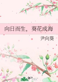 《向日而生,葵花成海》