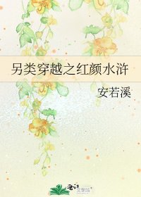《另類穿越之紅顏水滸》