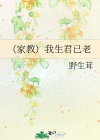 《(家教)我生君已老》