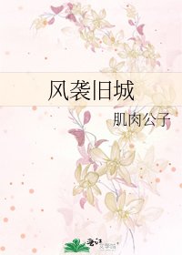 《風襲舊城》