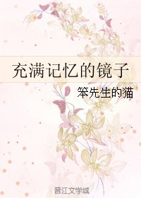 《充滿記憶的鏡子》