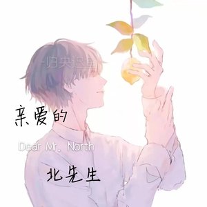《親愛的北先生》