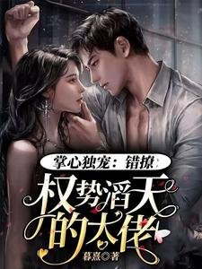 《掌心獨寵:錯撩權勢滔天的大佬》