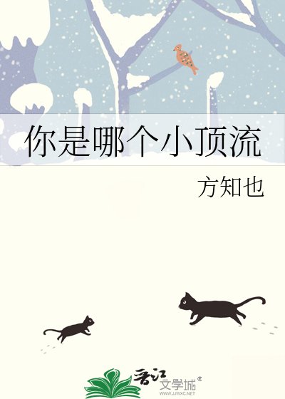 《你是哪個小頂流》