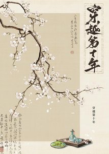 《穿越第十年》