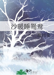 《沙暖睡鴛鴦》
