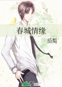 《春城情缘》