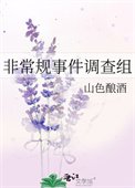 《非常規事件調查組》