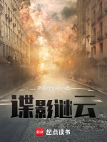 《諜影謎雲》