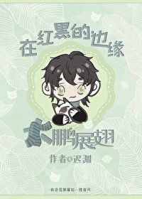 《(綜漫同人)在紅黑的邊緣大鵬展翅》