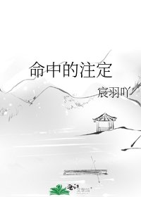 《命中的註定》
