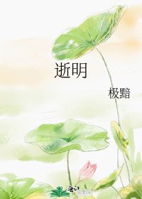 《逝明》