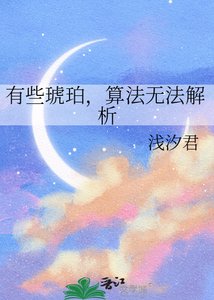 《有些琥珀,算法無法解析》