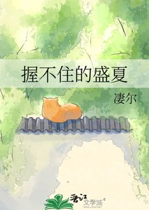 《握不住的盛夏》