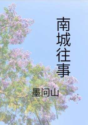《南城往事》