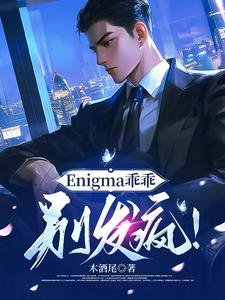 Enigma乖乖，別發瘋！