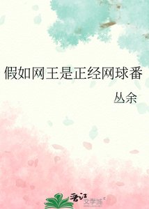 《(網球王子同人)假如網王是正經網球番》