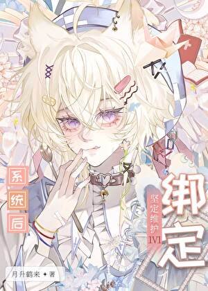 《綁定堅定維護1v1系統後》