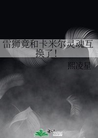 《雷狮竟和卡米尔灵魂互换了!》