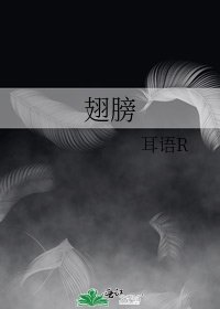 《翅膀》