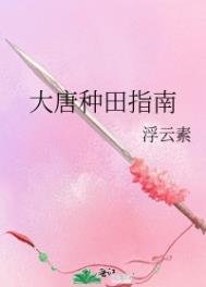 《大唐種田指南》