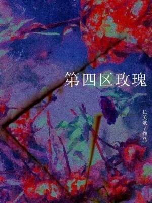 《第四區玫瑰》
