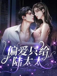 《偏愛只給陸太太》