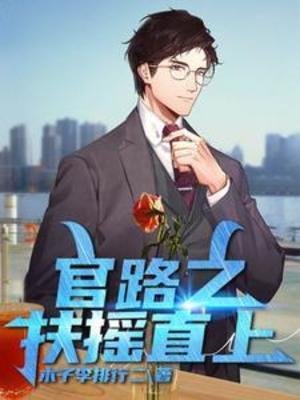 《官路之扶搖直上》