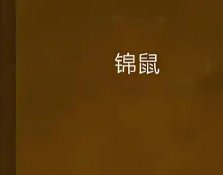 錦鼠（gl）