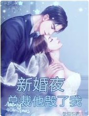 新婚夜，總裁他毀了我